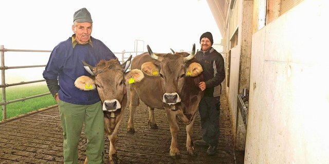 Der pensionierte Bauer Alfred Ulrich (l.) und der Betriebsleiter Fredy Auf der Maur wissen um die positive Wirkung von Apfelessig.