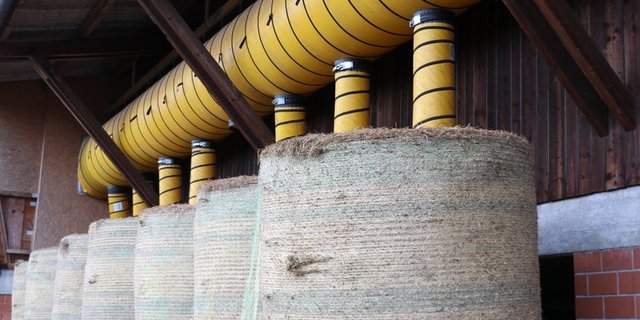 Belüftungssystem für Heuballen auf einem Pferdebetrieb. (Bild BauZ Ruth Aerni) 