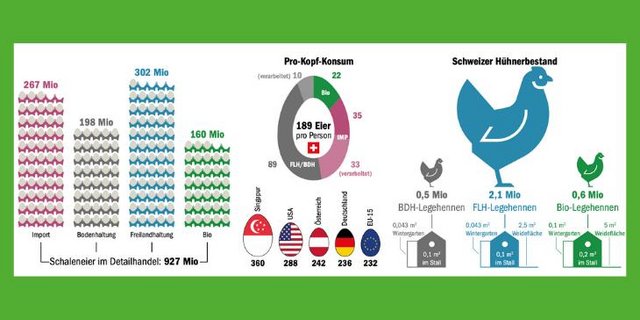 Im internationalen Vergleich essen Schweizerinnen und Schweizer deutlich weniger Eier, als Durchschnitts-Bürger beispielsweise in Singapur. (Grafik mi/Quelle BLW) 