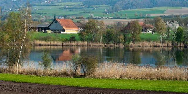 2020 sind Pufferstreifen im Rahmen der risikobasierten Kontrollen besonders im Fokus. (Bild BauZ)