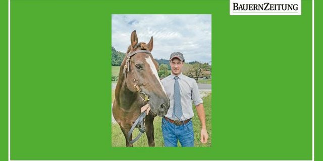 Christian Gerber ist kommende Woche mit vier Freibergern am Landauer eingespannt unterwegs. (Bild sb)