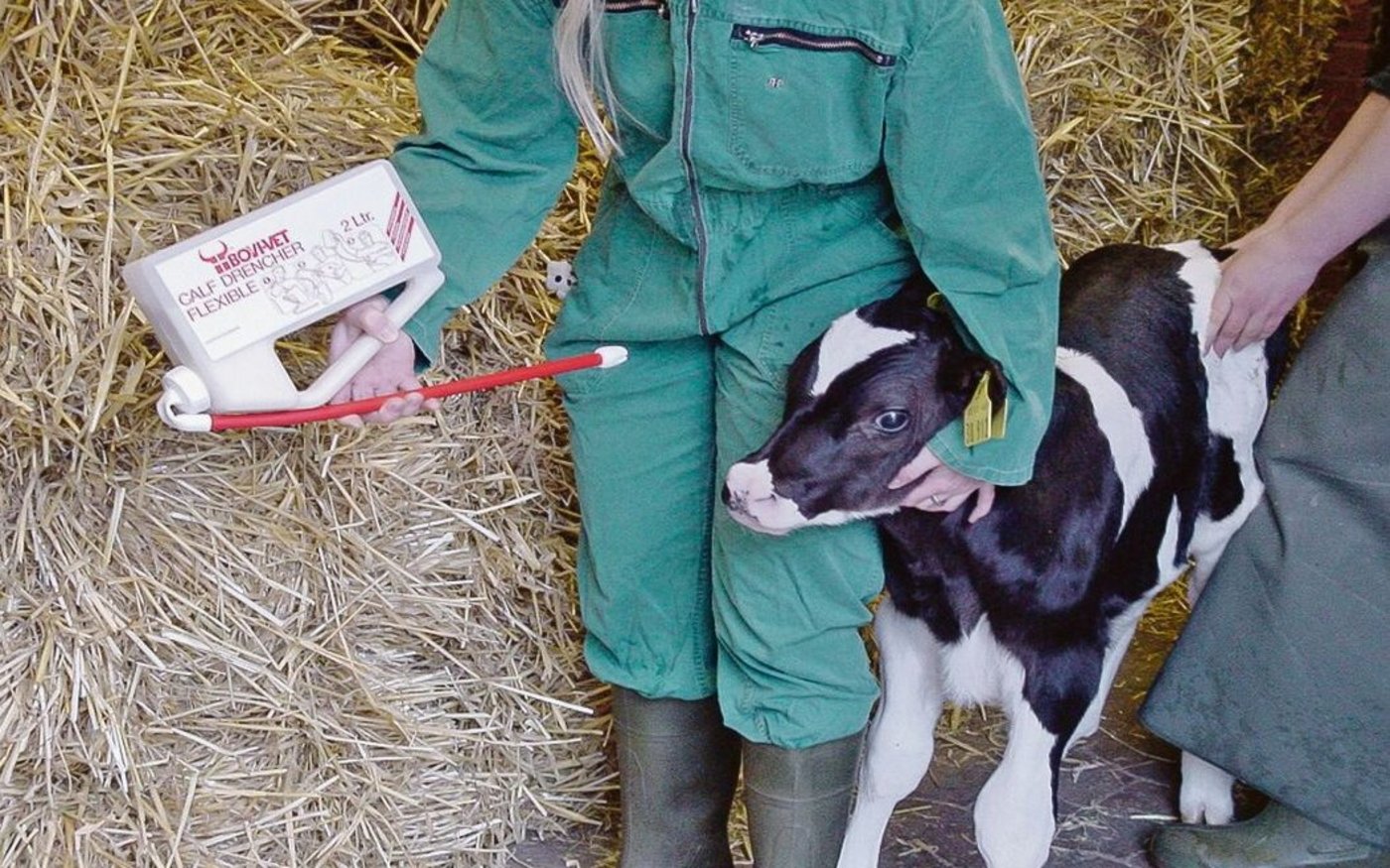 Trinkt ein Kalb überhaupt nicht, kann das Kolostrum auch mittels einer Sonde zugeführt werden. Sinnvoll dafür sind Soft-Drencher mit weichem Gummischlauch.