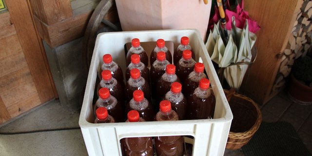 Frischer, gepresster Süssmost, welcher in Freis Hoflädeli in Ehrendingen AG verkauft wird. (Bild Hans Rüssli)