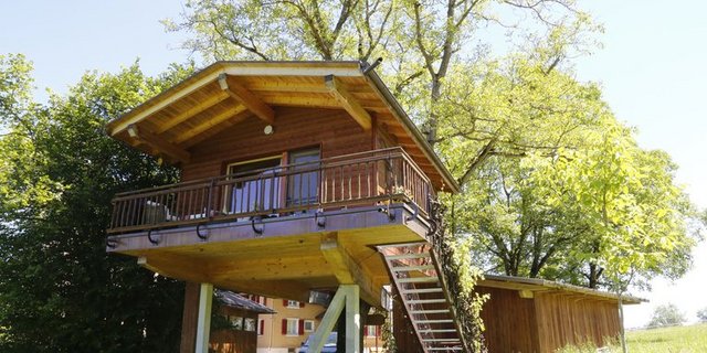 Wurzelbaumhaus: Die Angebote im Schweizer Agrotourismus sind vielfältig. (Bild lid)