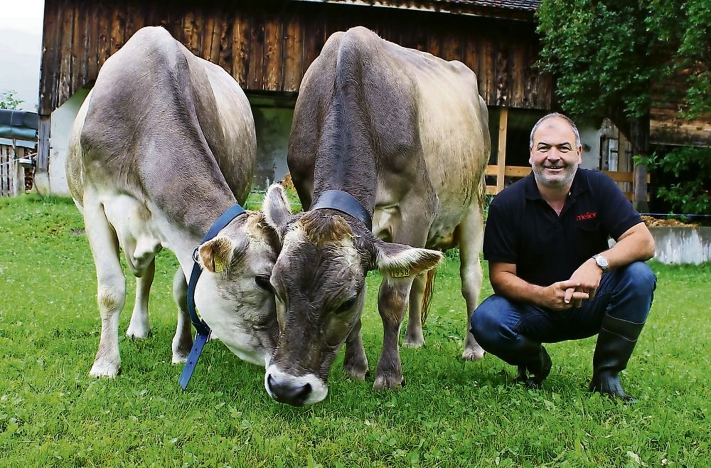 Der Urner Kari Herger ist von der Qualität seiner Braunen überzeugt. (Bild: Reto Betschart)