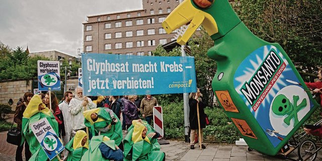 Die Diskussion um Glyphosat erhitzt die Gemüter seit Jahren. Die EU-Kommission soll nun über die Zukunft des Totalherbizids bis Mitte Dezember entscheiden. In der Schweiz könnte ein Verbot zu einer neuen Zulassungsprüfung führen. (Bild Moritz Richter)