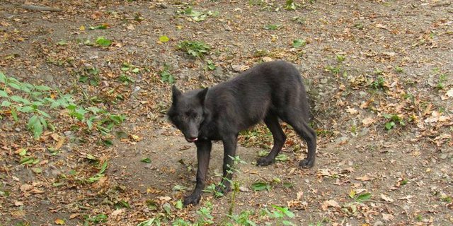 (Symbolbild Konrads Bilderwerkstatt CC BY-ND 2.0)