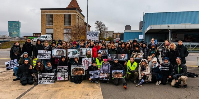 Zürich animal save setzt sich für einen respektvollen Umgang mit Tieren ein. (Bild z.V.g)
