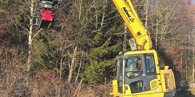 Mit dem Fällgreifer können einzelne Pflanzenarten gepackt, abgeklemmt und herausgezogen werden, was die maschinelle selektive Pflege ermöglicht.