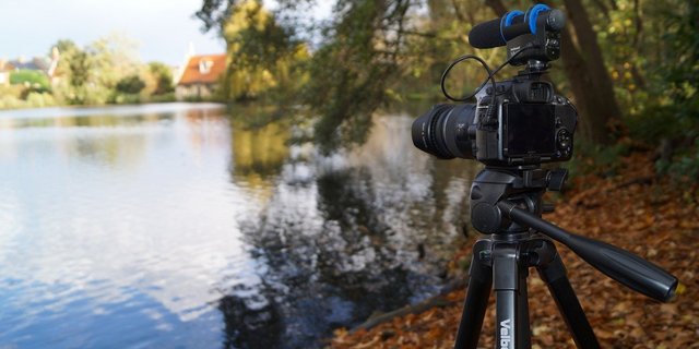 Das SRF-Video habe zwar eine umfassende Besprechung der Initiativen versprochen, aber nur einseitig informiert. (Symbolbild jamesmarkosborne/Pixabay) 