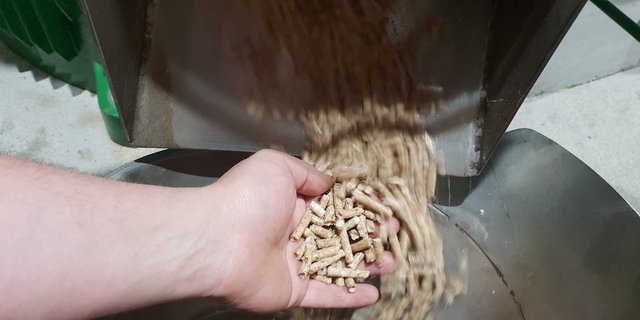 Wald-Pellets haben Zukunft und sind eine Chance für die hiesige Waldwirtschaft, ist «Beo-Holz» überzeugt. (Bild zVg)