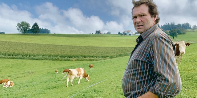 Rolf Kammermann in der Weide mit seinen Milchkühen. Er weiss nicht, ob weitere Tiere von Sarkosporidiose betroffen sind, weil sie allenfalls mit Kot von Hunden in Kontakt kamen. (Bild Josef Scherer)