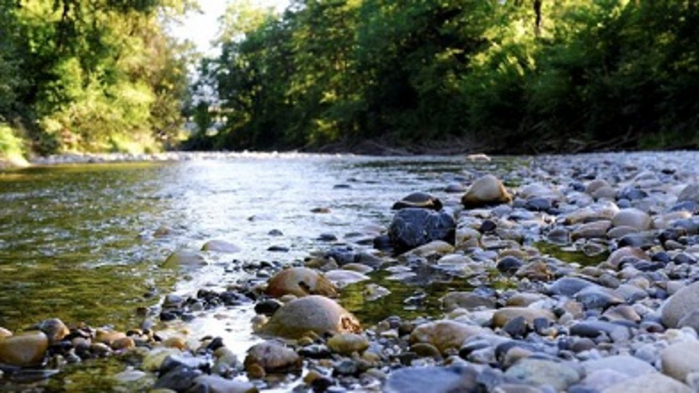 Die Emmental-Versicherung kann auf einb gutes Jahr zurückschauen. Es gab im Sachbereich keinen hohen Wellengang. (Bild emmental.ch)