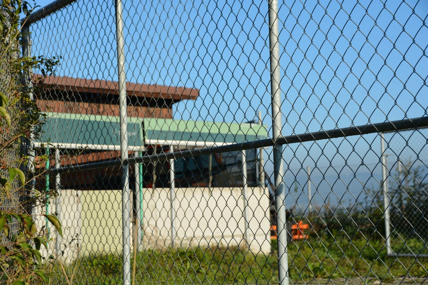 Noch ist die Afrikanische Schweinepest nicht in der Schweiz. Höchste Zeit, um die hiesigen Schweinebestände vor dem Virus zu schützen. (Bild aem)