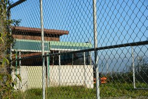 «Bedenkliche Ausbreitung» der Afrikanische Schweinepest – Schweinehalter müssen reagieren Noch ist die Afrikanische Schweinepest nicht in der Schweiz. Höchste Zeit, um die hiesigen Schweinebestände vor dem Virus zu schützen. (Bild aem)