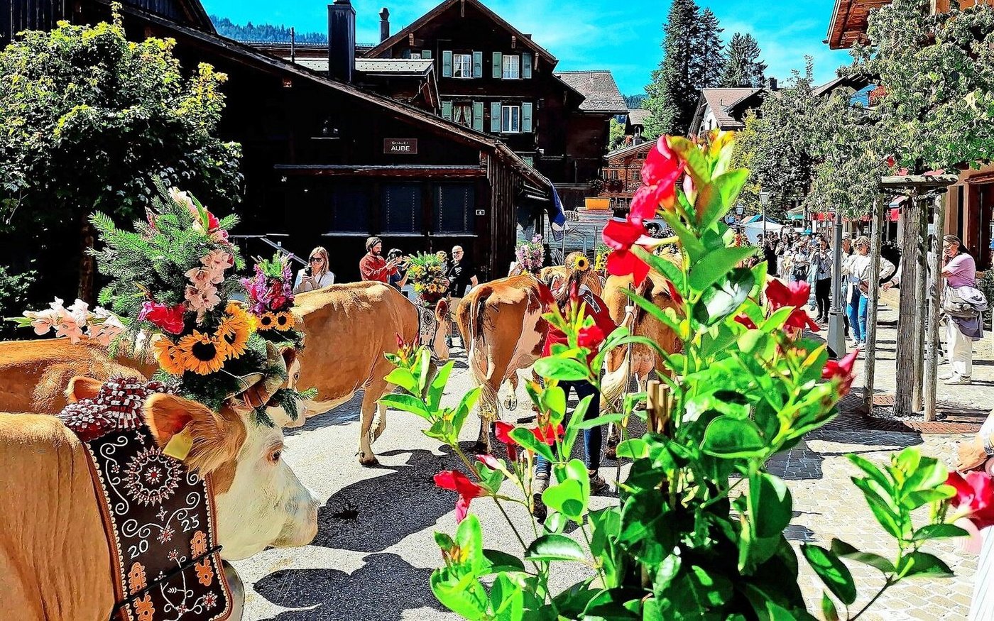 Wenn Farben wunderbar leuchten: Die Fotoapparate der Touristen liefen bei der «Züglete» heiss.