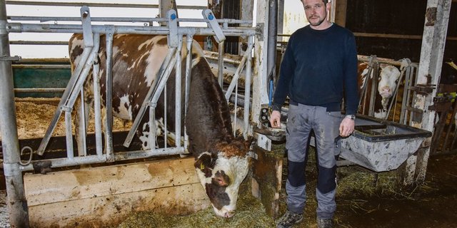 Reto von Dach mit seinem gut zweijährigen Stier Artemis Obelix. «Er hat einen guten Charakter, aber auch bei ihm muss man vorsichtig sein», sagt von Dach.(Bild Peter Fankhauser)