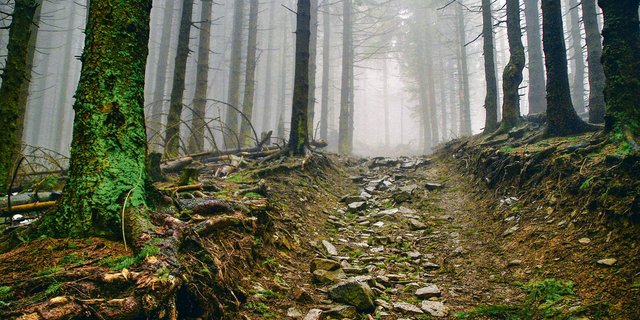 Wer keine konkreten Ziele setzt, die auch erreichbar sind, kann aus Wünschen oder Träumen nie Wirklichkeit machen. Oft ist der Weg zum Ziel steinig, darum soll man sich nicht zu viel vornehmen, damit man die Motivation unterwegs nicht verliert. (Bild Pixabay)