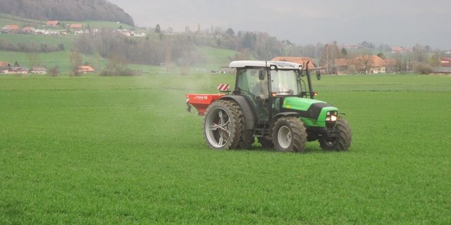 Will ein Land dem theoretisch möglichen Ertrag um ein Prozent näher kommen, steigt die globale Stickstoffbelastung um 35 Prozent, haben die Forscher berechnet. (Symbolbild BauZ)