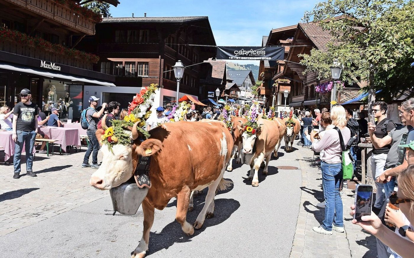 Alle Kühe wurden eindrücklich geschmückt. Der Aufwand für die Älplerfamilien war dabei gross.