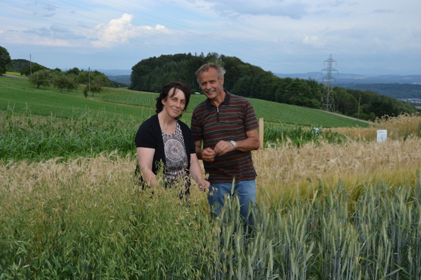 Rosmarie und Peter Zimmermann stehen inmitten des Getreides. «Mehr als die Hälfte der globalen Ackerfläche wird mit Getreide bebaut», erklären sie. Auf dem Weltacker wachsen 12 verschiedene Arten davon. (Bilder drt)