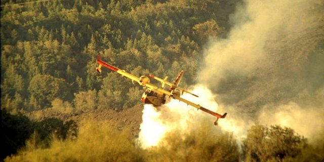 Die Brände in Australien setzen den Bauern hart zu. (Bild weidner/agrar-press)