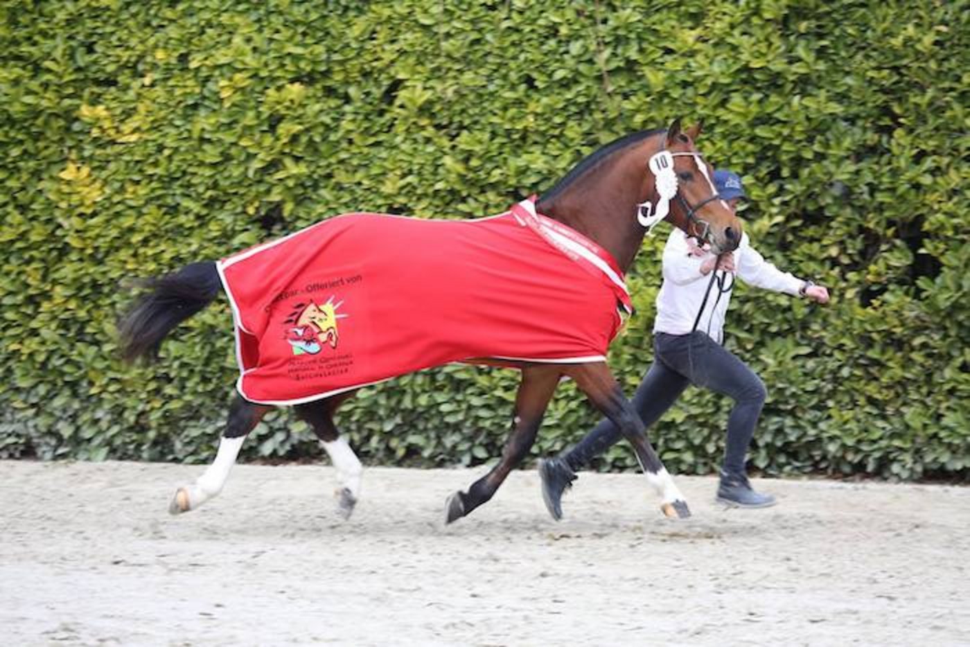 Der Sieger: Nordica de la Burgis (Never BW/Don Fenaco/Cajoleur) von Chantal und Guy Juillard-Pape aus Damvant JU. (Bilder: Karin Rohrer)