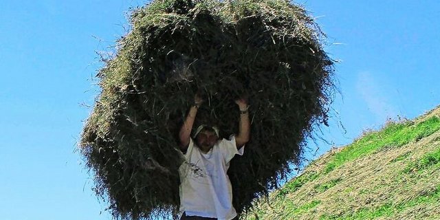 Stundenlanges Gehen im steilen Gelände beansprucht Sehnen und Gelenke stark. Dies kann im Alter zu Beschwerden führen.