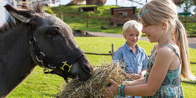 Mit Agrotourismus-Angeboten kann man die Landwirtschaft hautnah erleben. (Bild myfarm.ch)