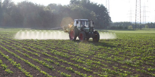 Seit 2013 gehen die Verkaufszahlen von Pflanzenschutzmitteln aller Verwendungszwecke zurück. (Bild BauZ)