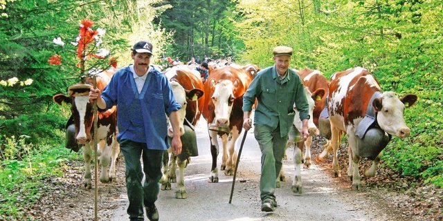 Alfred (r.) und sein Sohn Daniel Bühler bei der Alpauffahrt. 