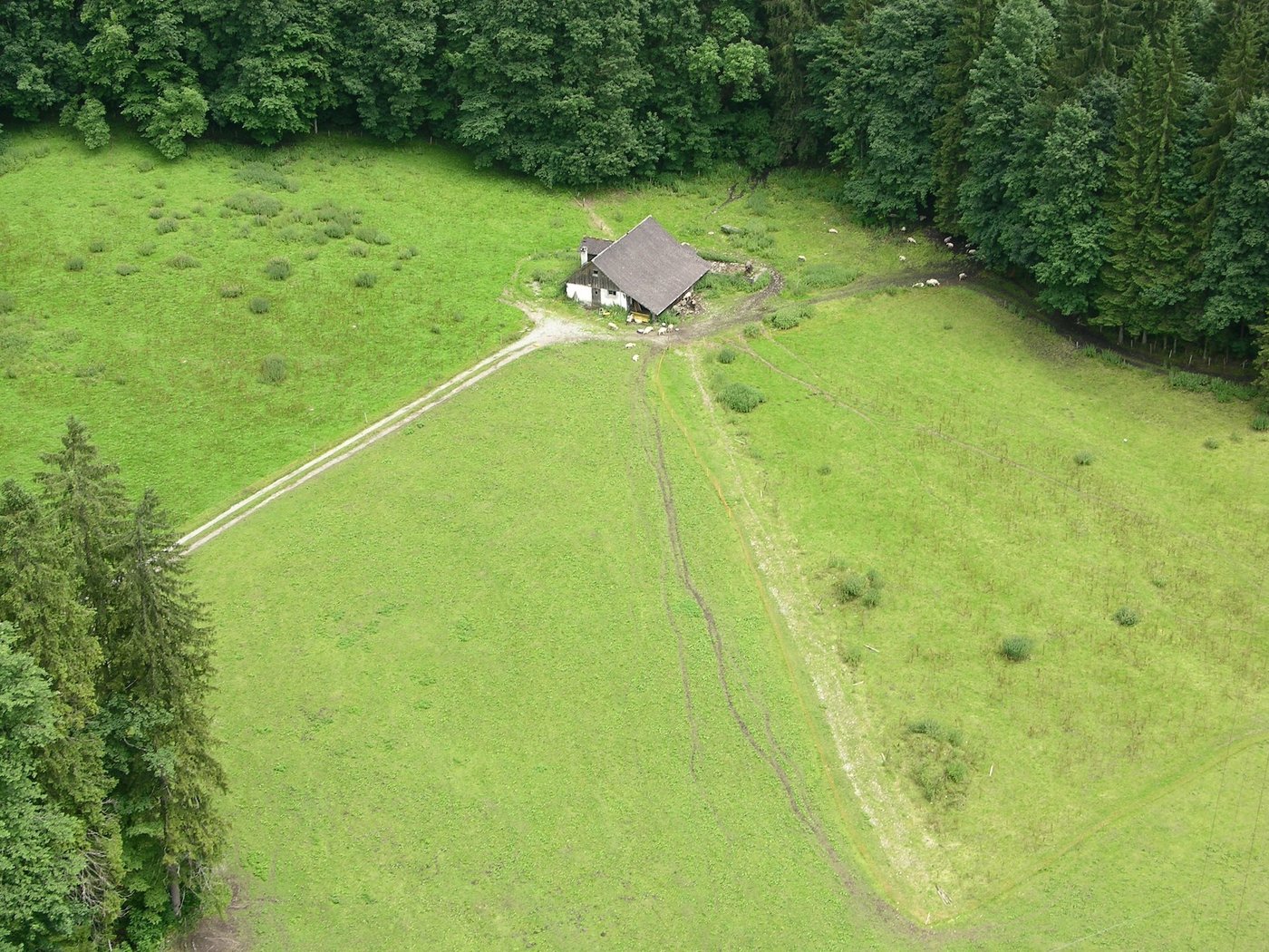 Wie gross muss ein Betrieb sein? Was als landwirtschaftliches Gewerbe gelten soll, darüber sind sich bäuerliche Kreise uneinig. (Archivbild BauZ)