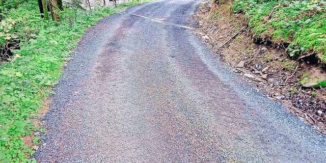 Auch bei der Aufkofferung von Waldstrassen ist darauf zu achten, welche Materialien zulässig sind, Asphaltgranulat ist es nicht.