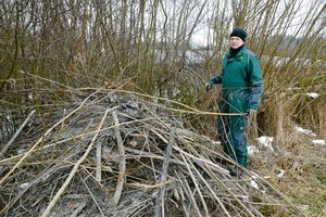 Ruedi Wüthrich aus Allmendingen b. Bern bei einem Biberbau. Der Landwirt beklagt grosse Schäden wegen des Nagers.  (Bilder BauZ/Peter Fankhauser)