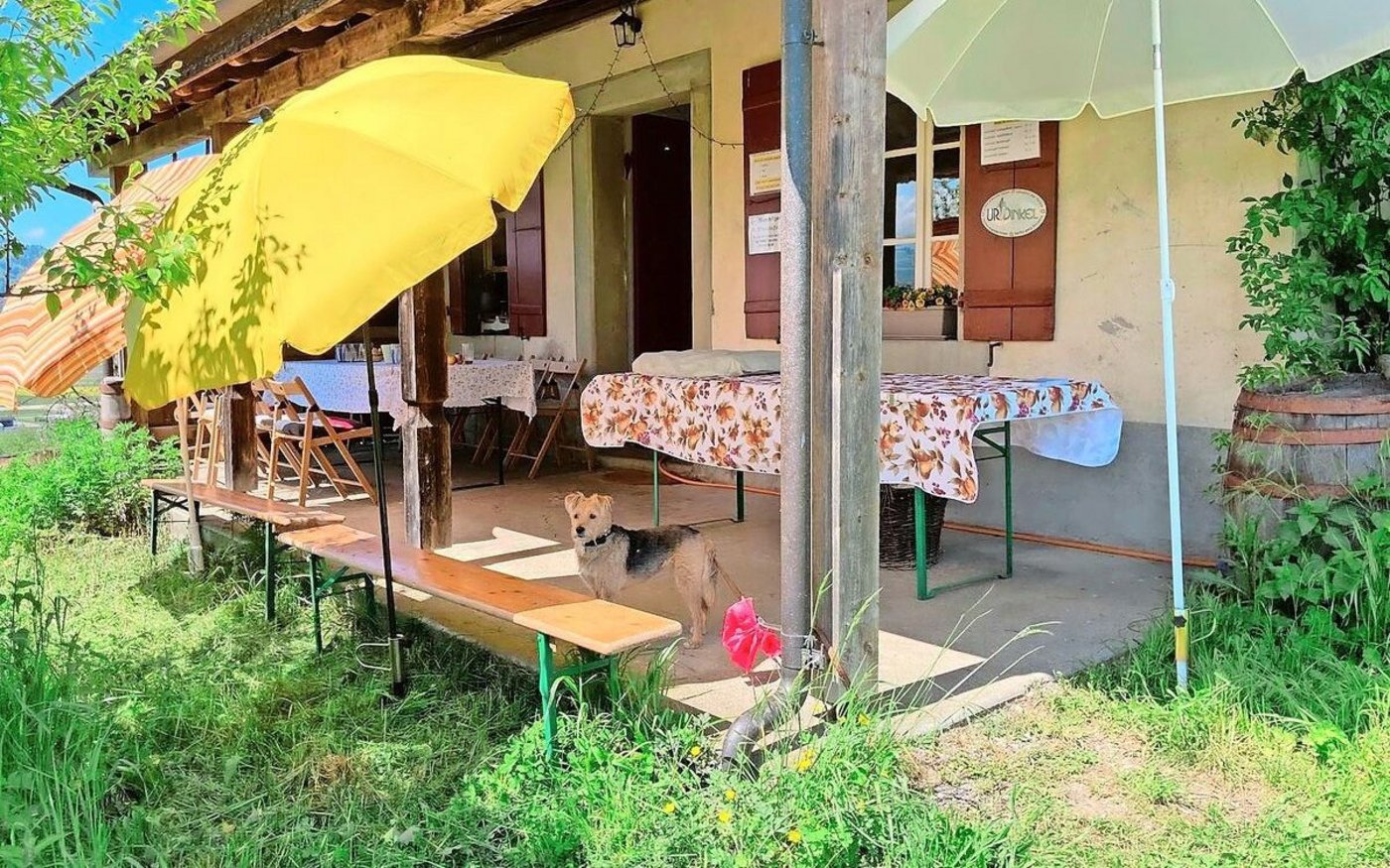 Für den nichtlandwirtschaftlichen Nebenbetrieb darf keine Person angestellt werden, die überwiegend dafür tätig ist, sonst droht Entzug der Bewilligung.