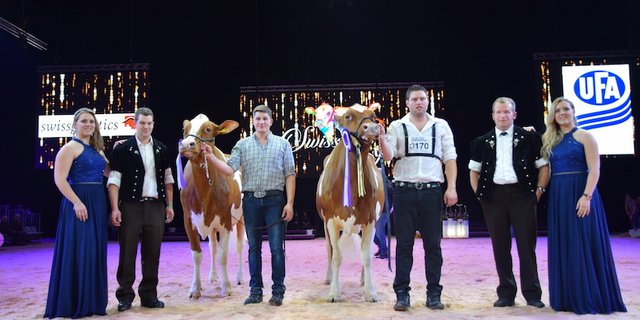 Als Grand Champion der Swiss Fleckviehschau ging schlussendlich  Orlando Nikita (rechts) von Markus und Joel Fankhauser und Werner Sommer aus Süderen BE, vom Platz. Ihr folgte mit Hardy Bonny von der BG Jungen aus Kiental BE, die Reserve. Nikita wurde auch noch zur Supreme Champion der Zweinutzungsrasse.