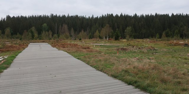 Die Moorlandschaft La Chaux-des-Breuleux bei Tramelan, Bern sei mit 283 Hektaren die drittgrösste der 89 Moorlandschaften von nationaler Bedeutung. (Bild FLS)