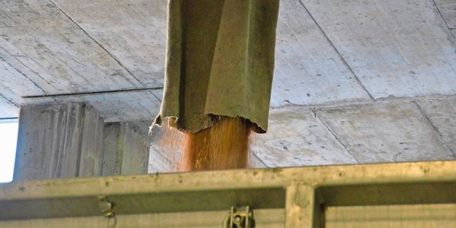 Sammelstellen können selbst oder gebündelt via Fenaco vermarkten.