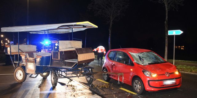 Gestorben ist nicht das Pferd, das mit dem Auto zusammenstiess. (Bild Kapo SG)