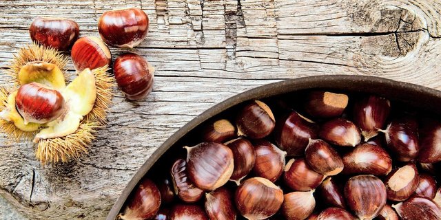 Marroni sind ein Herbstgenuss, der sich für süsse wie für deftige Gerichte eignet. Geniessbar sind nur Edelkastanien, Rosskastanien dagegen sind giftig.