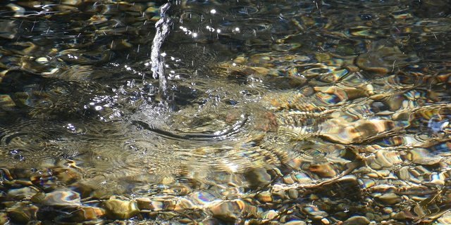 Die Polarisierung in Sachen Pflanzenschutz scheint unverändert, aber die Bemühungen der Gegner tragen offenbar langsam Früchte. (Bild RitaE / Pixabay) 