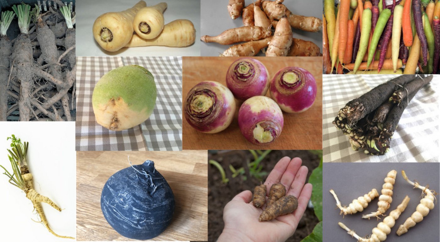 Scharf, Süsslich, nussig, aromatisch: Der Gemüse-Winter muss nicht langweilig sein. (Bildautoren siehe Text, Montage jsc)