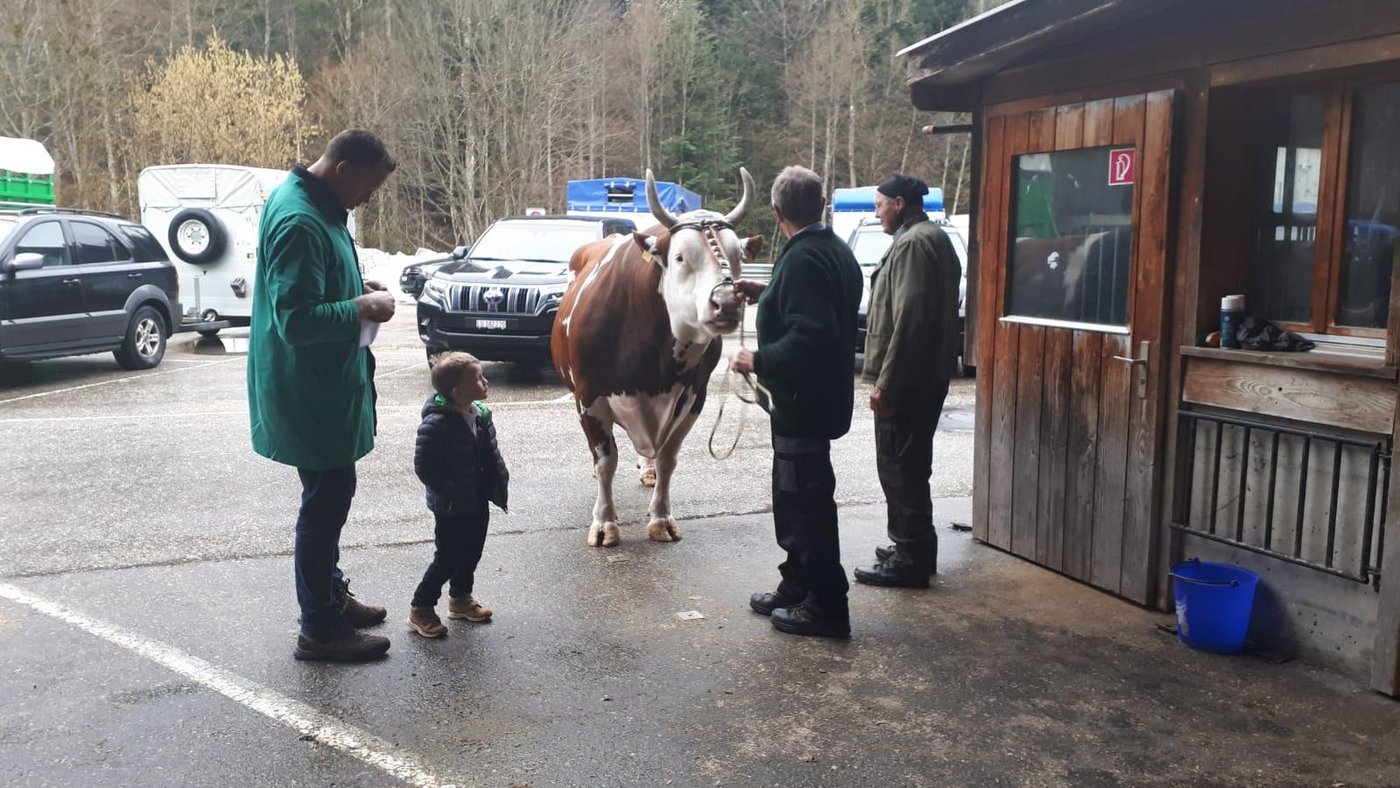 Schwingerkönig Sempach mit Sohn Henry und «Fors vo dr Lueg» vor der Martkhalle in Langnau i.E. (Bilder sb)
