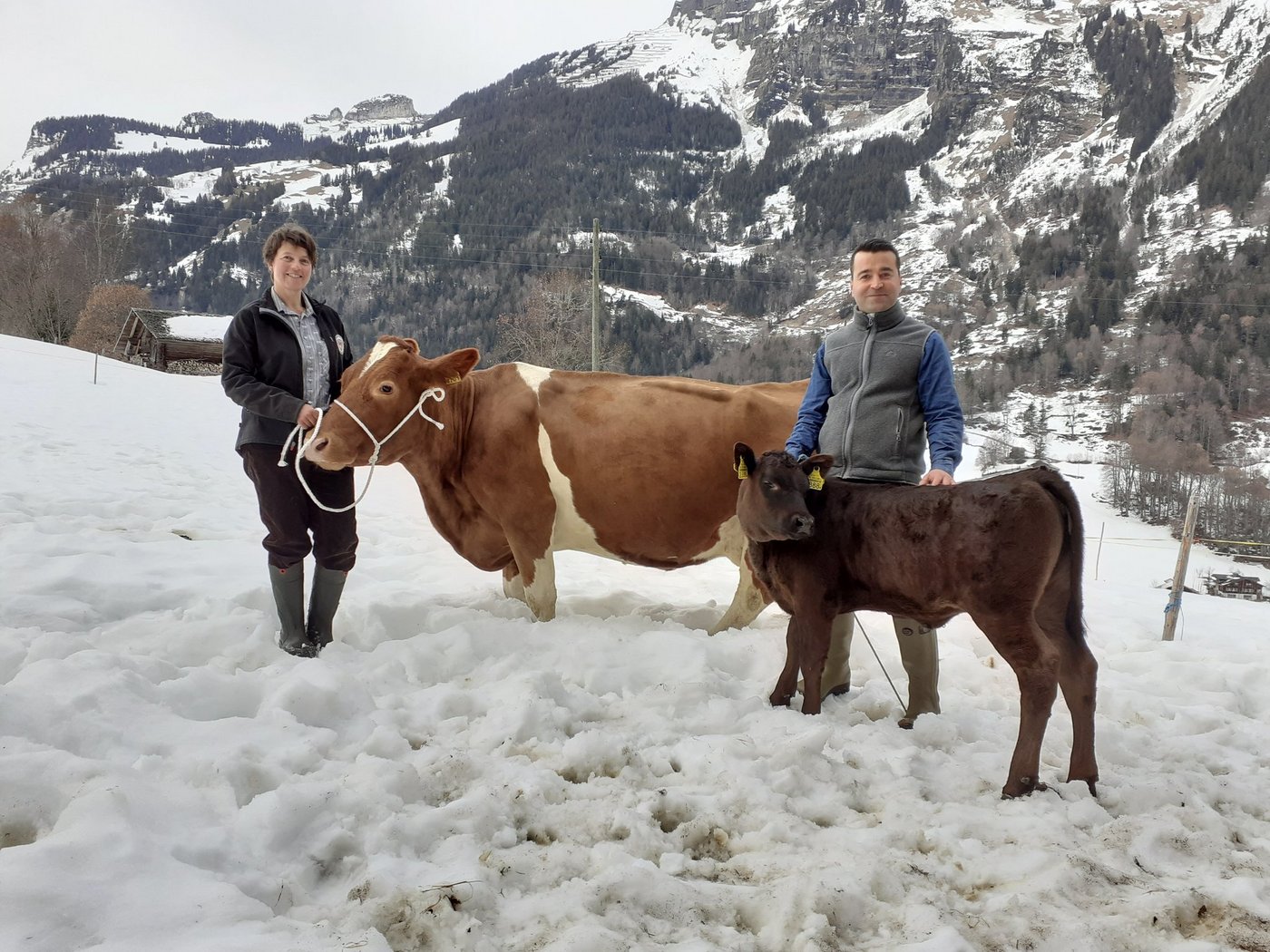 Besitzerin Marianne Wyss und Tierarzt Cagri Binici freuen sich über die erfolgreiche Behandlung der Kuh Paloma und über das gesunde Kuhkalb Papaya. (Bild pd)