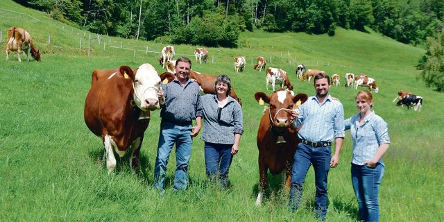 Adolf und Ursula Zemp mit Sohn Roland und dessen Freundin Jeannette Büttler. An den Halftern die Kühe Vinos Viamala (links) und ihre Tochter Kilian Kischa, die SF-Kuh des Jahres 2020.(Bilder Peter Fankhauser)