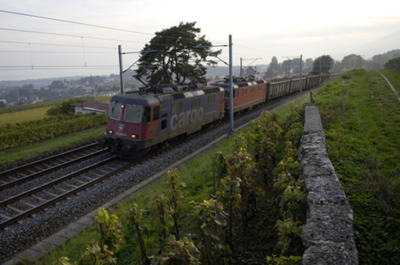 Gehört ab 2018 für mindestens drei Jahre der Vergangenheit an: SBB Cargo-Güterzug mit Zuckerrüben. (Bild pd)