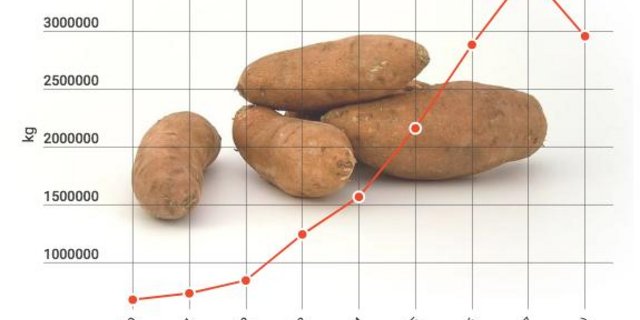 Quelle: EZV, BLW-Fachbereich Marktanalyse