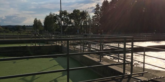 Aus der Abwasserreinigung entweicht zwar wenig gasförmiges Ammoniak, im gereinigten Abwasser hat es aber grosse Mengen Nitrat. (Bild jsc)