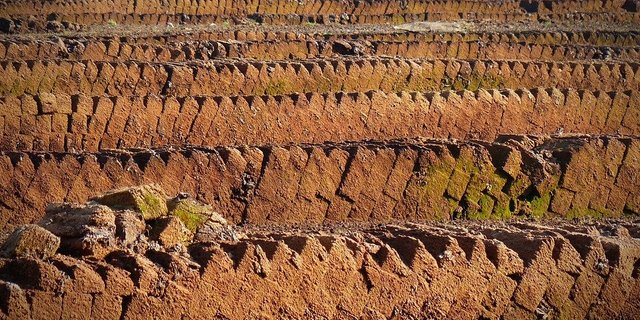 Lidl will künftig auf Torf in Sackerden verzichten. (Symbolbild Pixabay)