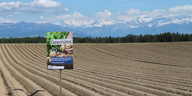Mit sieben verschiedenen Motiven sollen die neuen Feldtafeln kompakt über den Pflanzenschutz aufklären. (Bild IG Bauern Unternehmen)